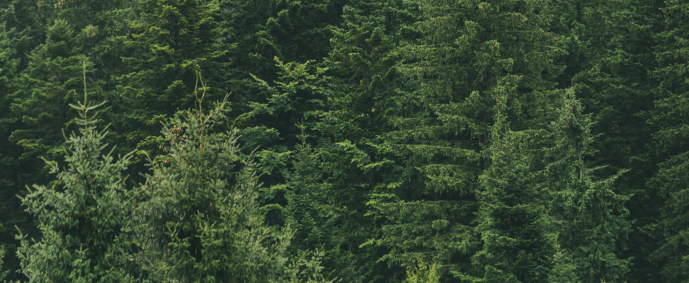 SUSTAINABILITY